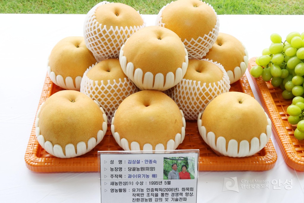 새농민회 연찬회