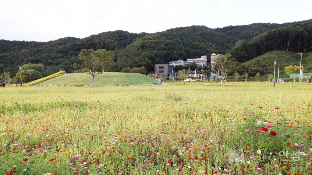 금광면 주민자치프로그램 발표회