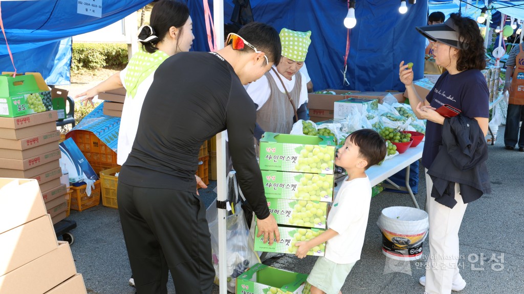 제18회 안성맞춤포도축제
