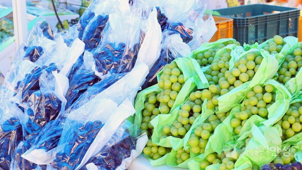 제18회 안성맞춤포도축제