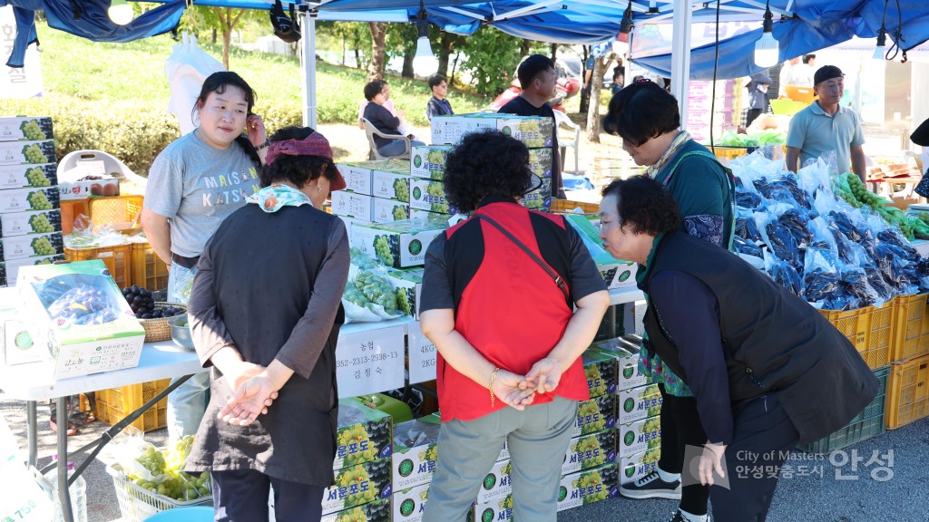제18회 안성맞춤포도축제