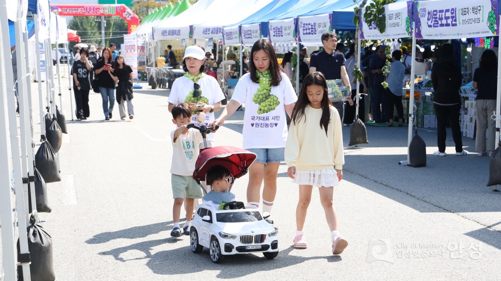 제18회 안성맞춤포도축제