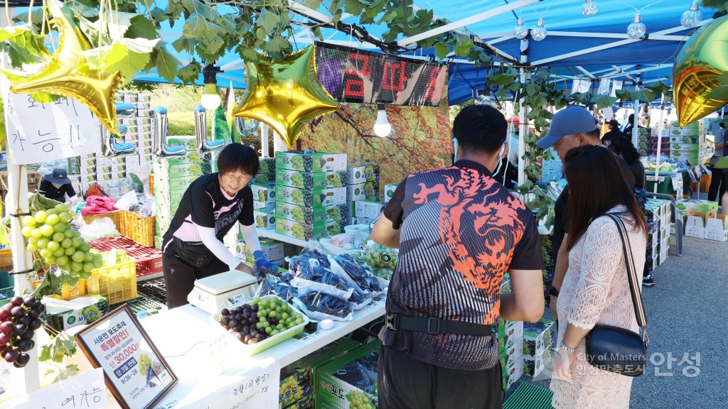 제18회 안성맞춤포도축제