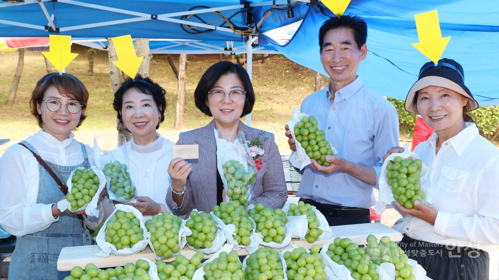 제18회 안성맞춤포도축제