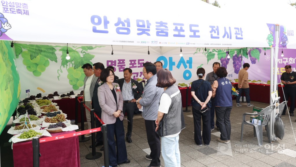 제18회 안성맞춤포도축제