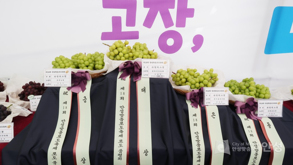 제18회 안성맞춤포도축제