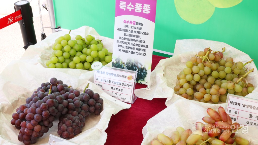 제18회 안성맞춤포도축제