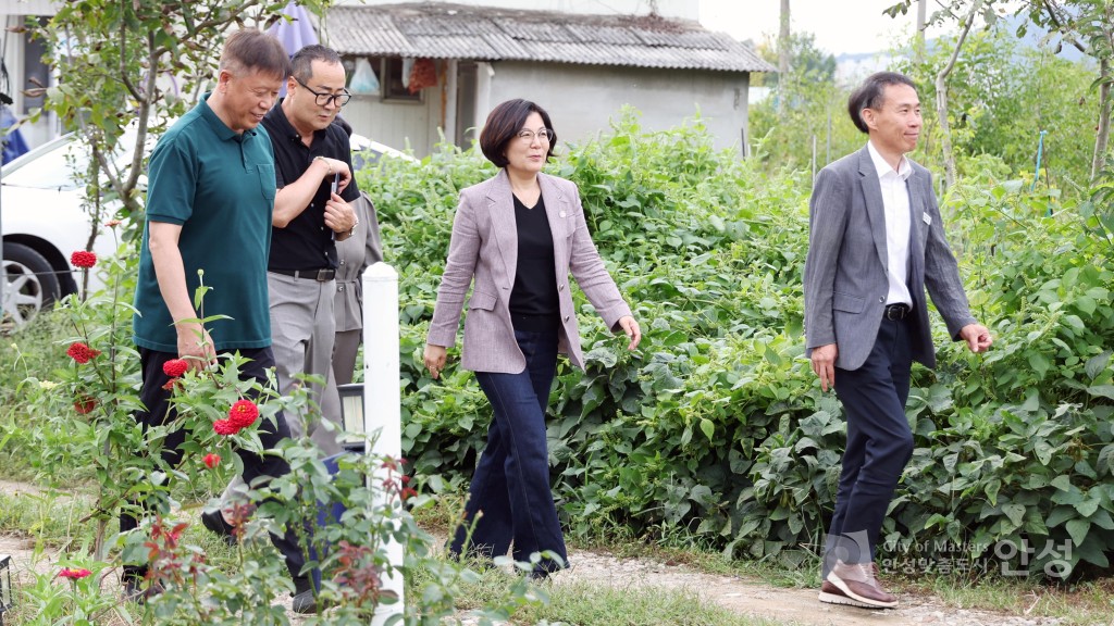 도농공동체 시범아파트 조성사업 홍익 아우름 한마당