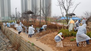죽산면 역사공원 일원 나무심기