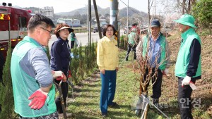 삼죽면 새마을지도자회 나무심기 행사 이미지