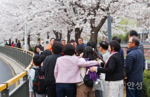 안성3동 금석첨화 이미지