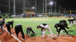 생활체육 야구 이미지