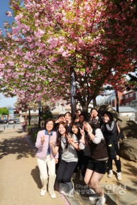 낙원공원 역사공원 곁벛꽃 이미지