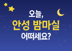안성 밤마실 축제