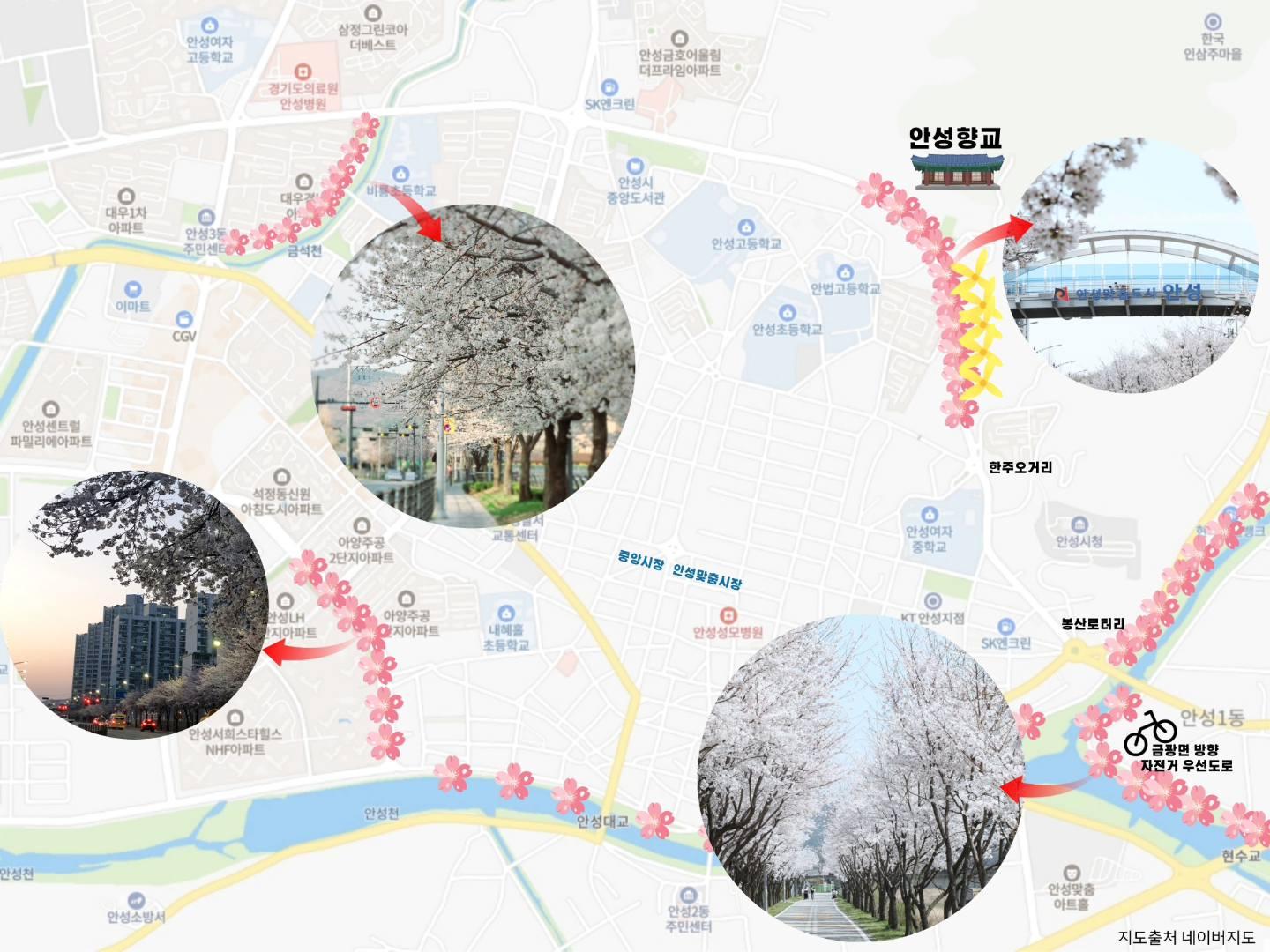 벚꽃로드(시내권)