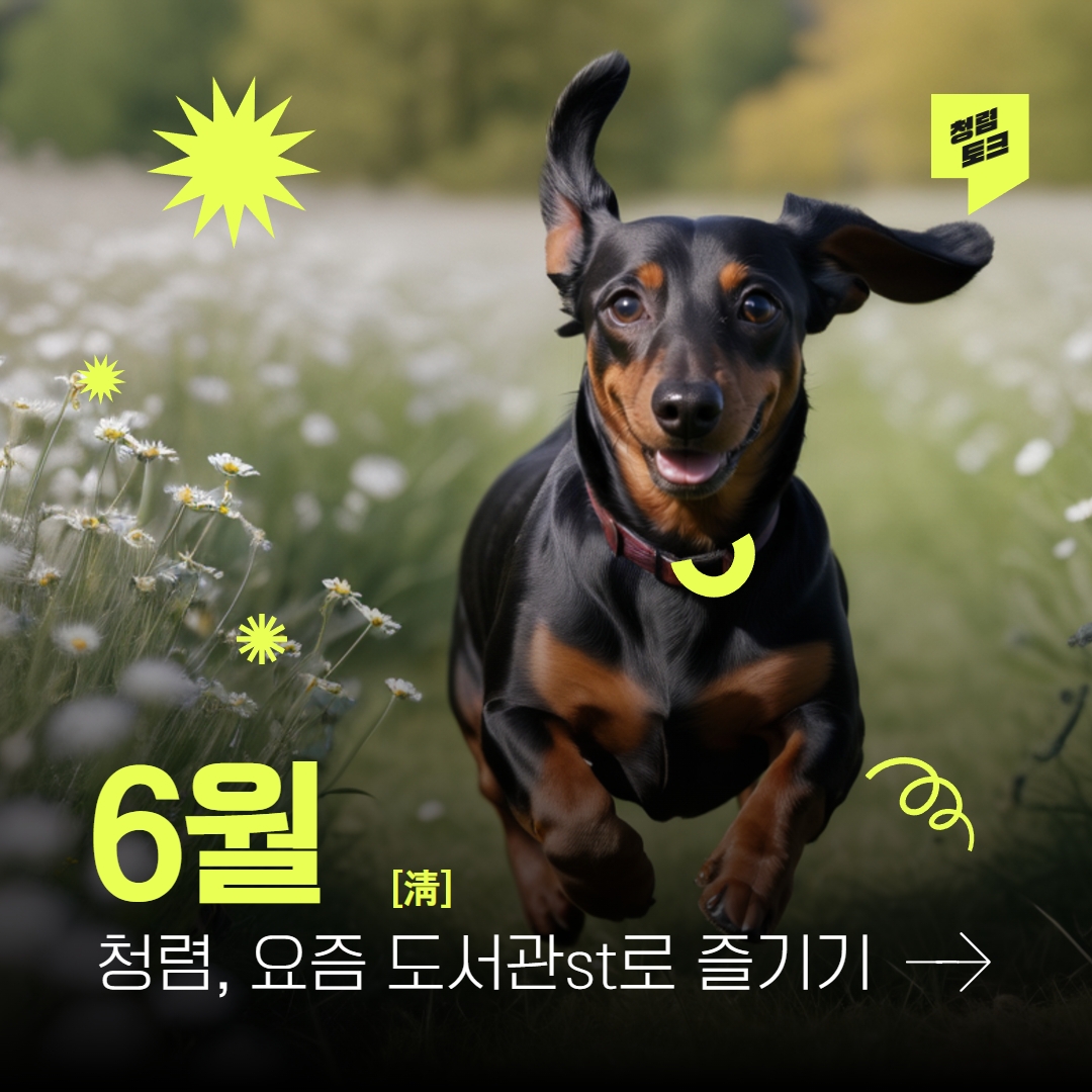 2025 안성시 도서관과 청렴뉴스 6월호