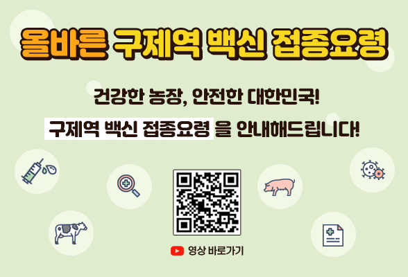 올바른 구제역 백신 접종 요령