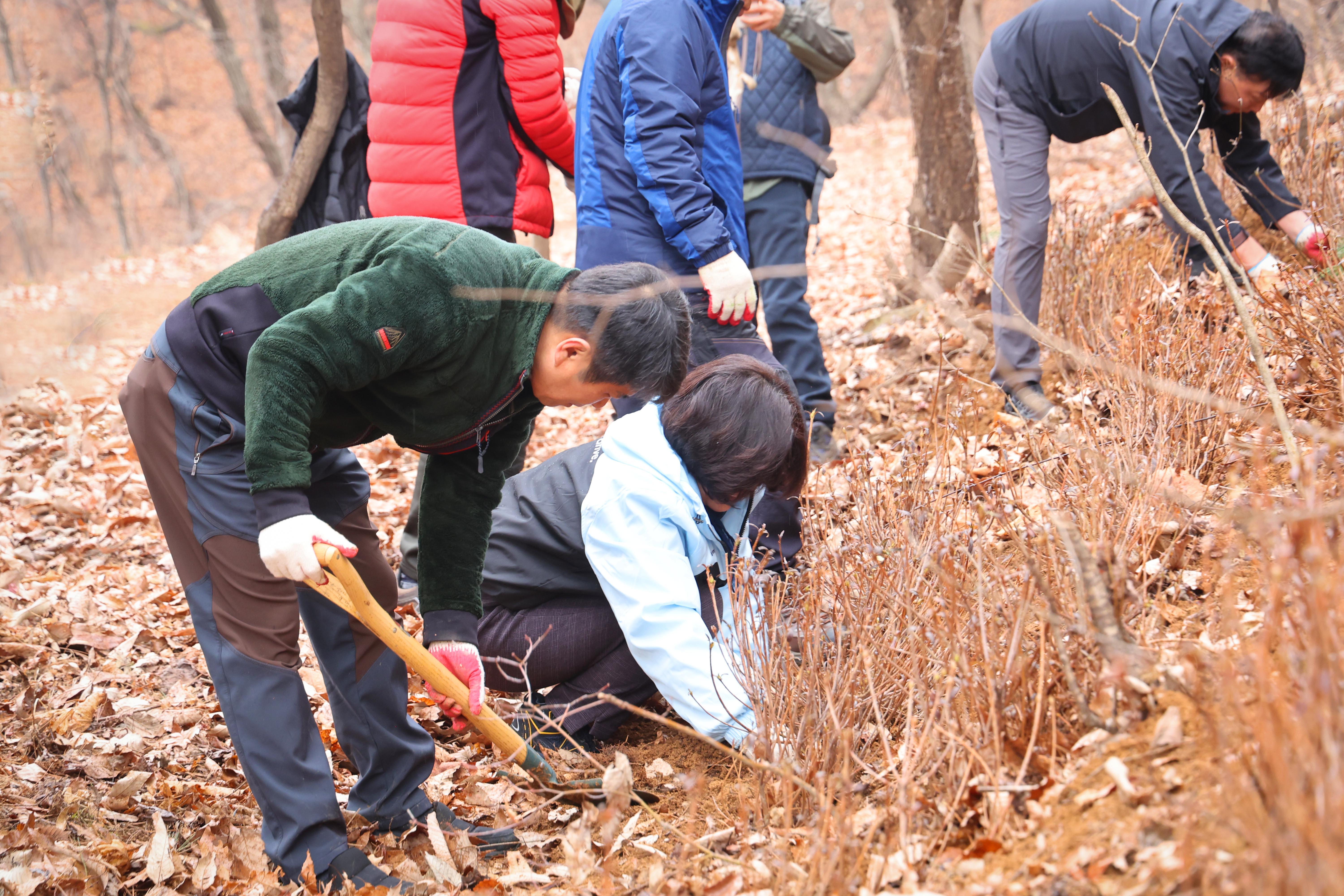 중앙산악회 서운산 나무심기 행사-07