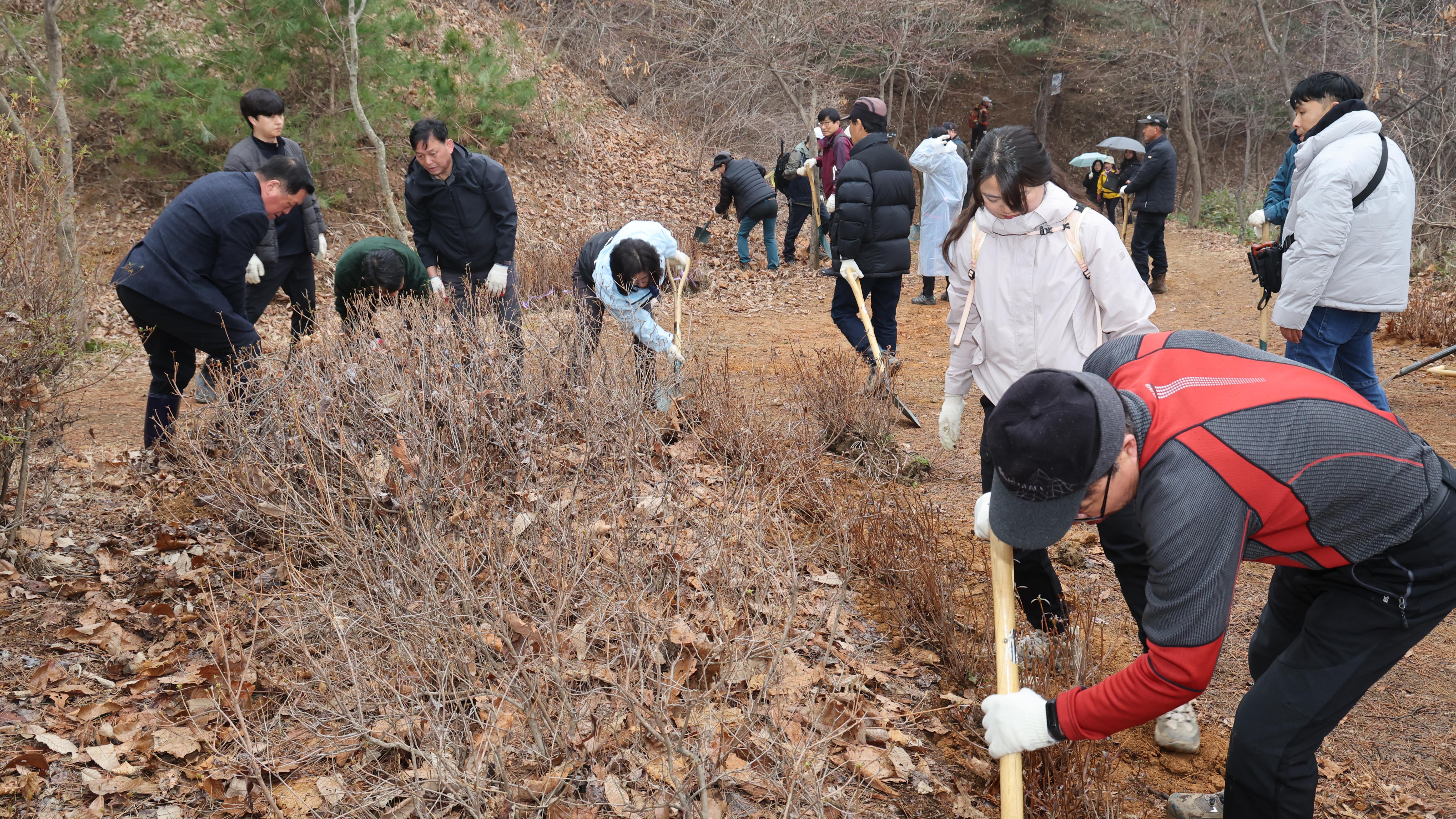 중앙산악회 서운산 나무심기 행사-05