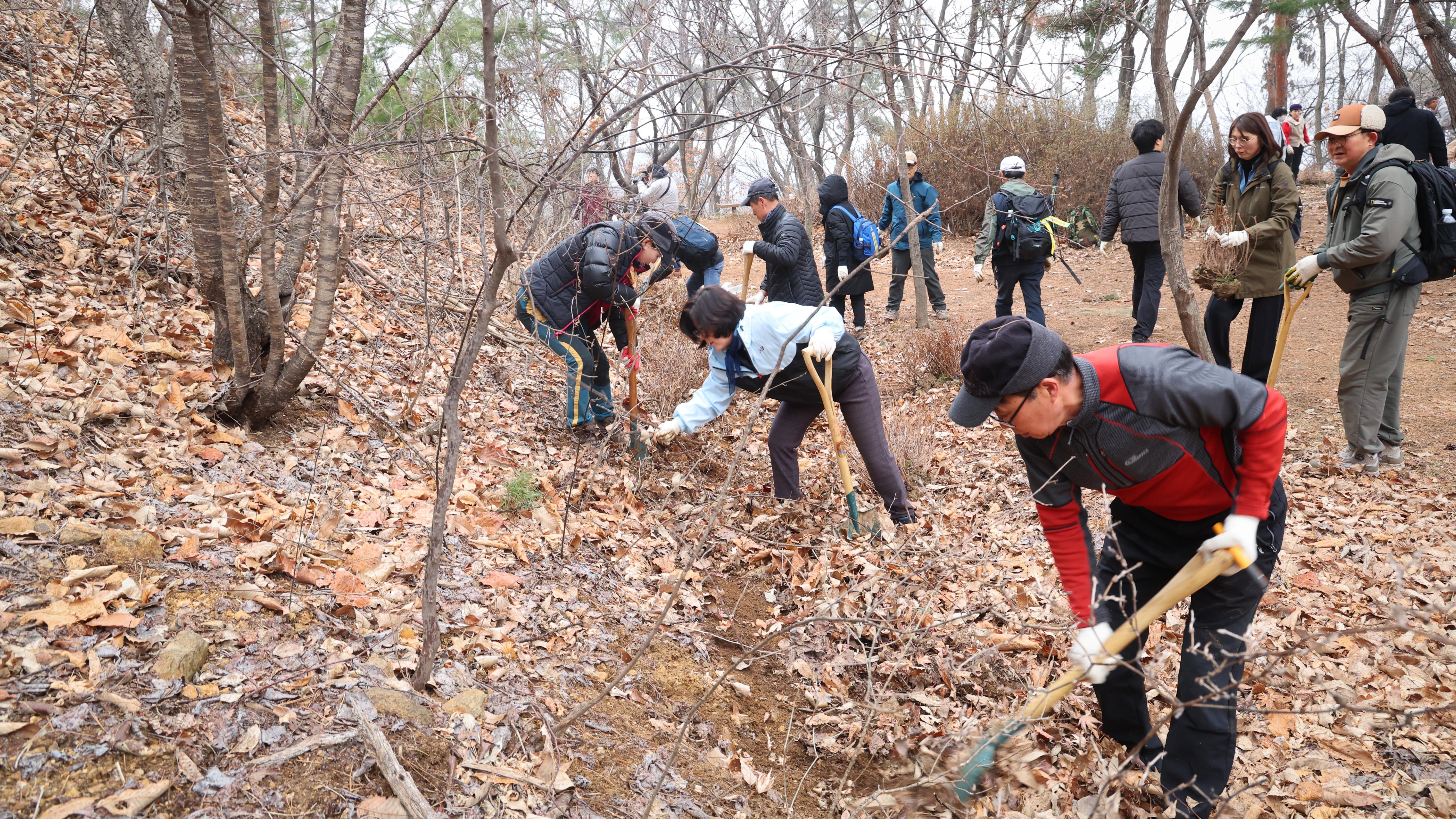 중앙산악회 서운산 나무심기 행사-06