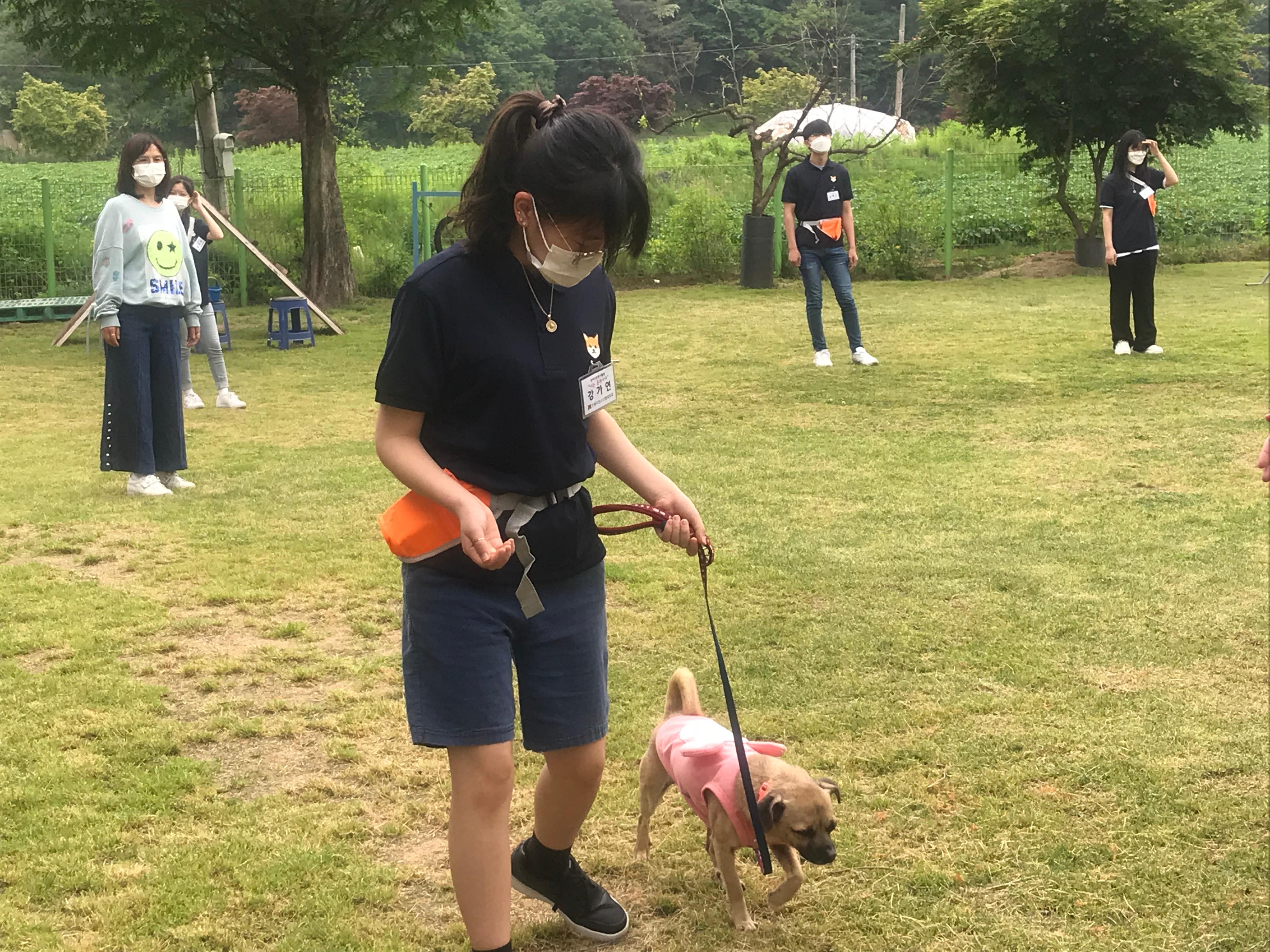 나는 훈련사다 활동사진