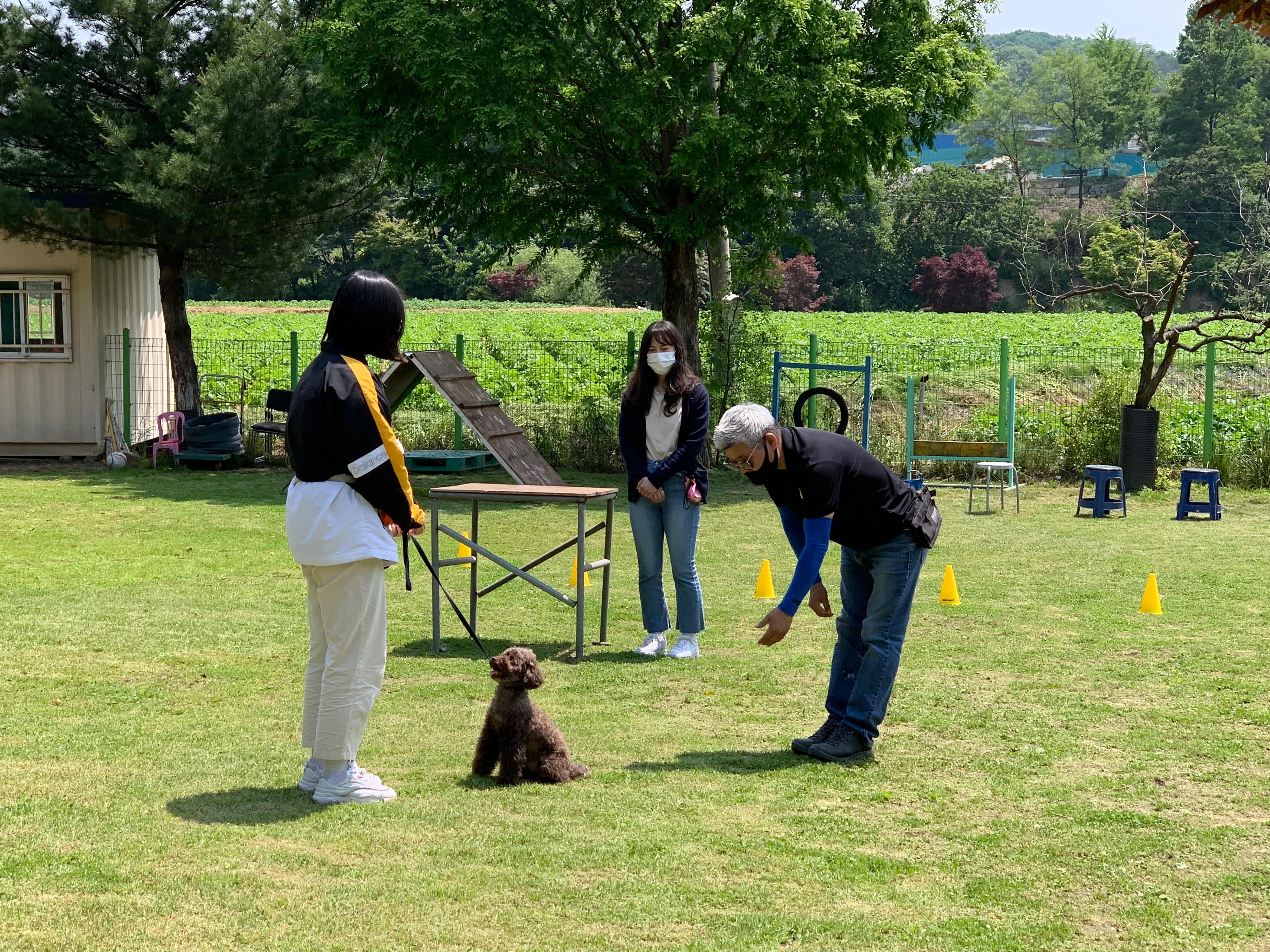 나는 훈련사다 활동사진