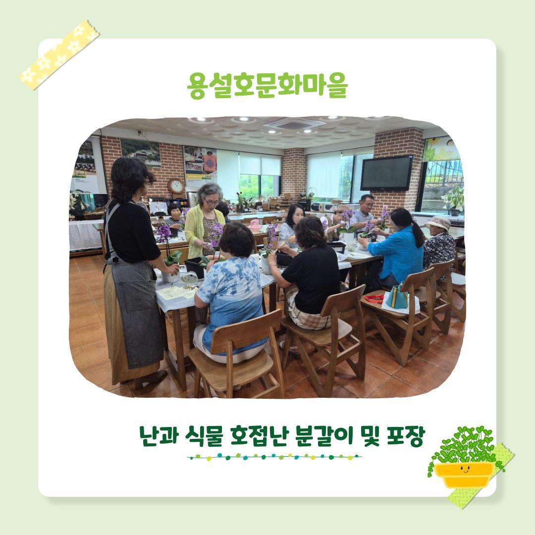 시군역량강화 마을공동체 활성화 프로그램 생활원예 4회차