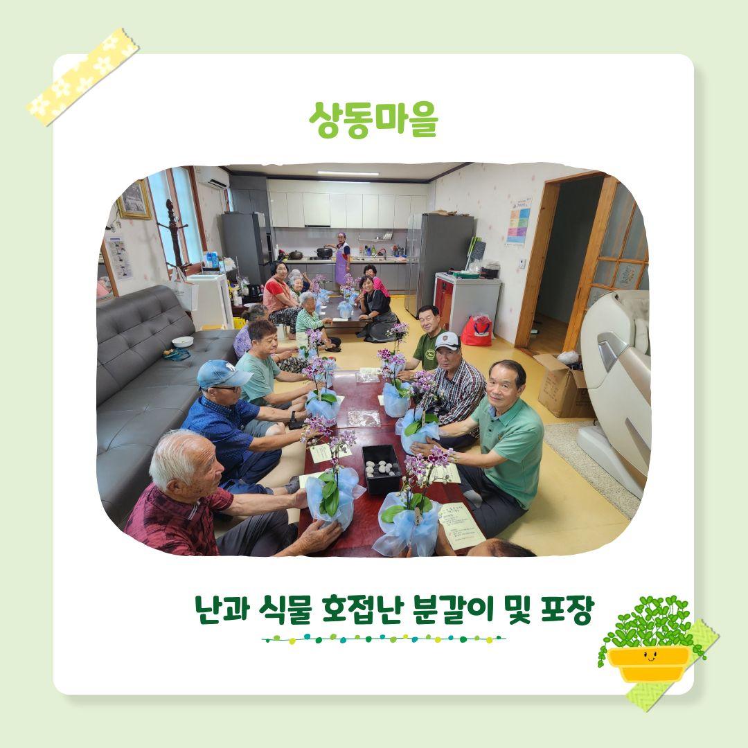 시군역량강화 마을공동체 활성화 프로그램 생활원예 4회차
