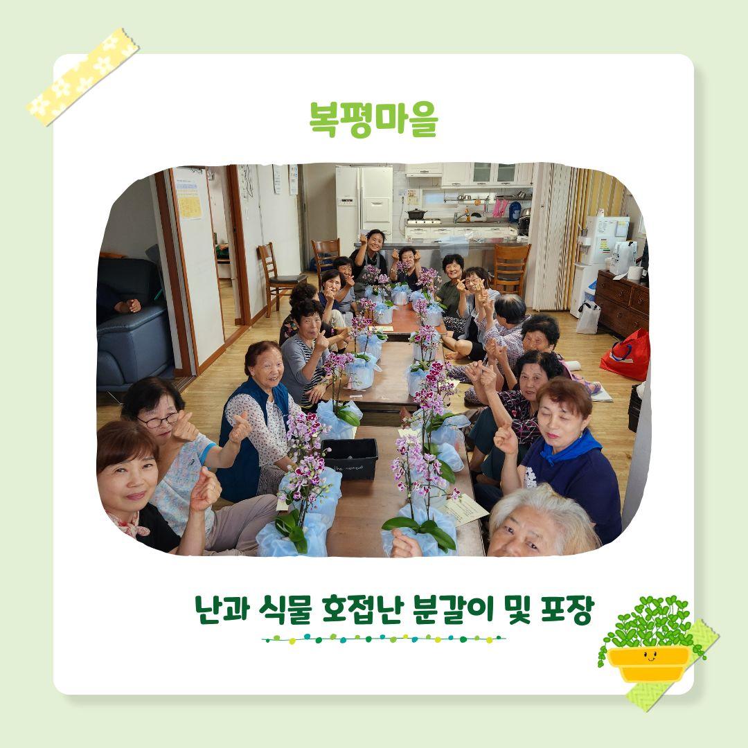 시군역량강화 마을공동체 활성화 프로그램 생활원예 4회차