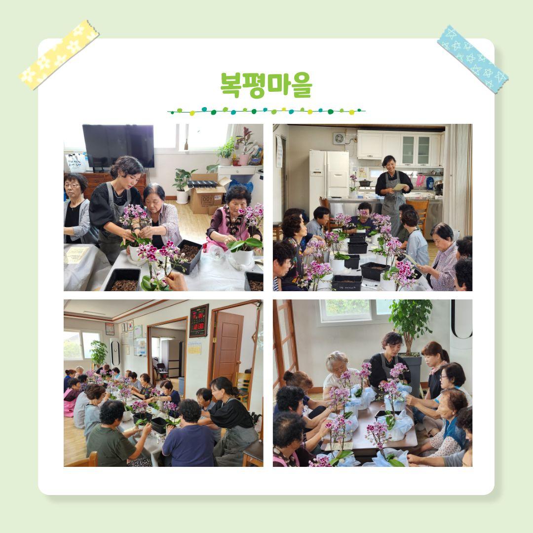 시군역량강화 마을공동체 활성화 프로그램 생활원예 4회차