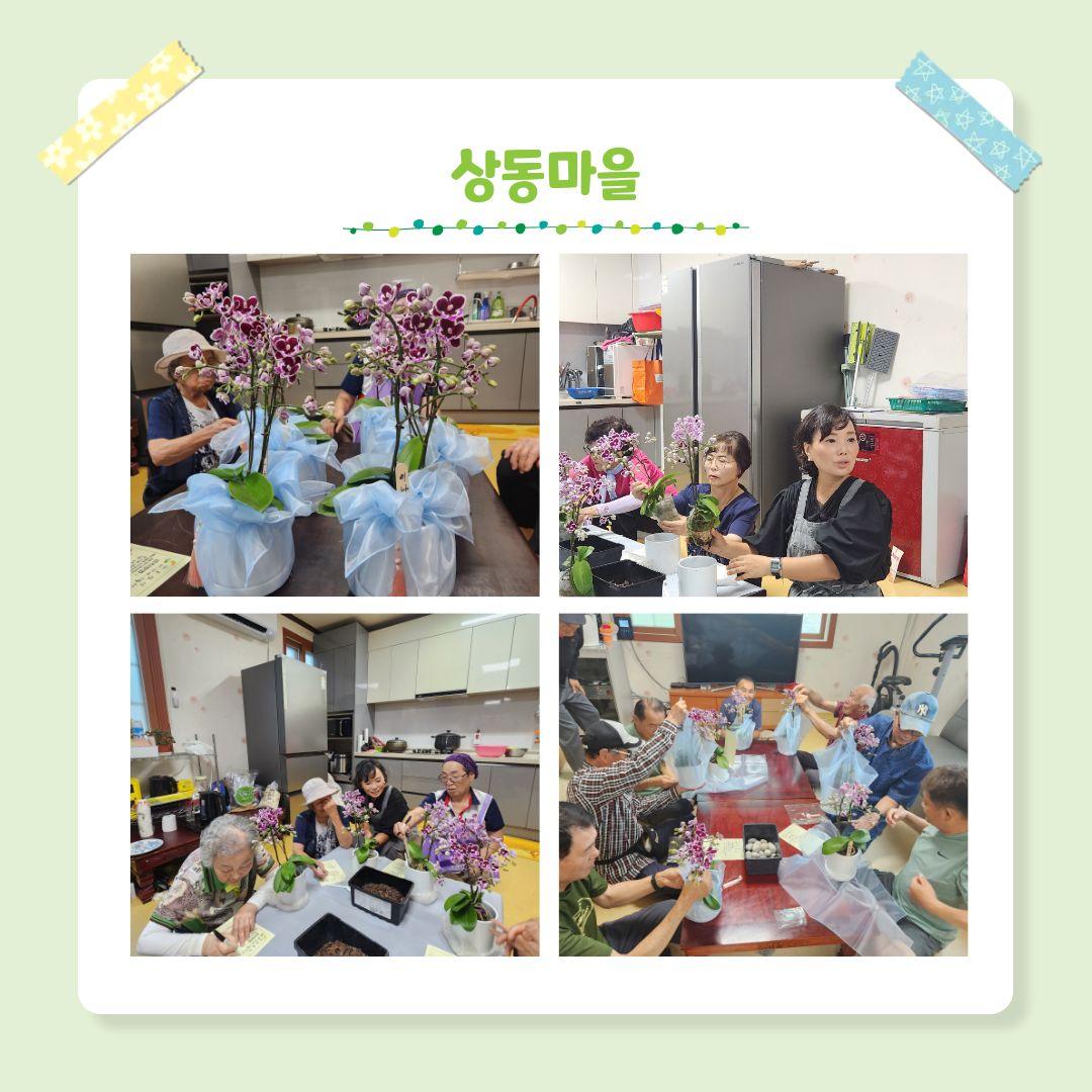 시군역량강화 마을공동체 활성화 프로그램 생활원예 4회차