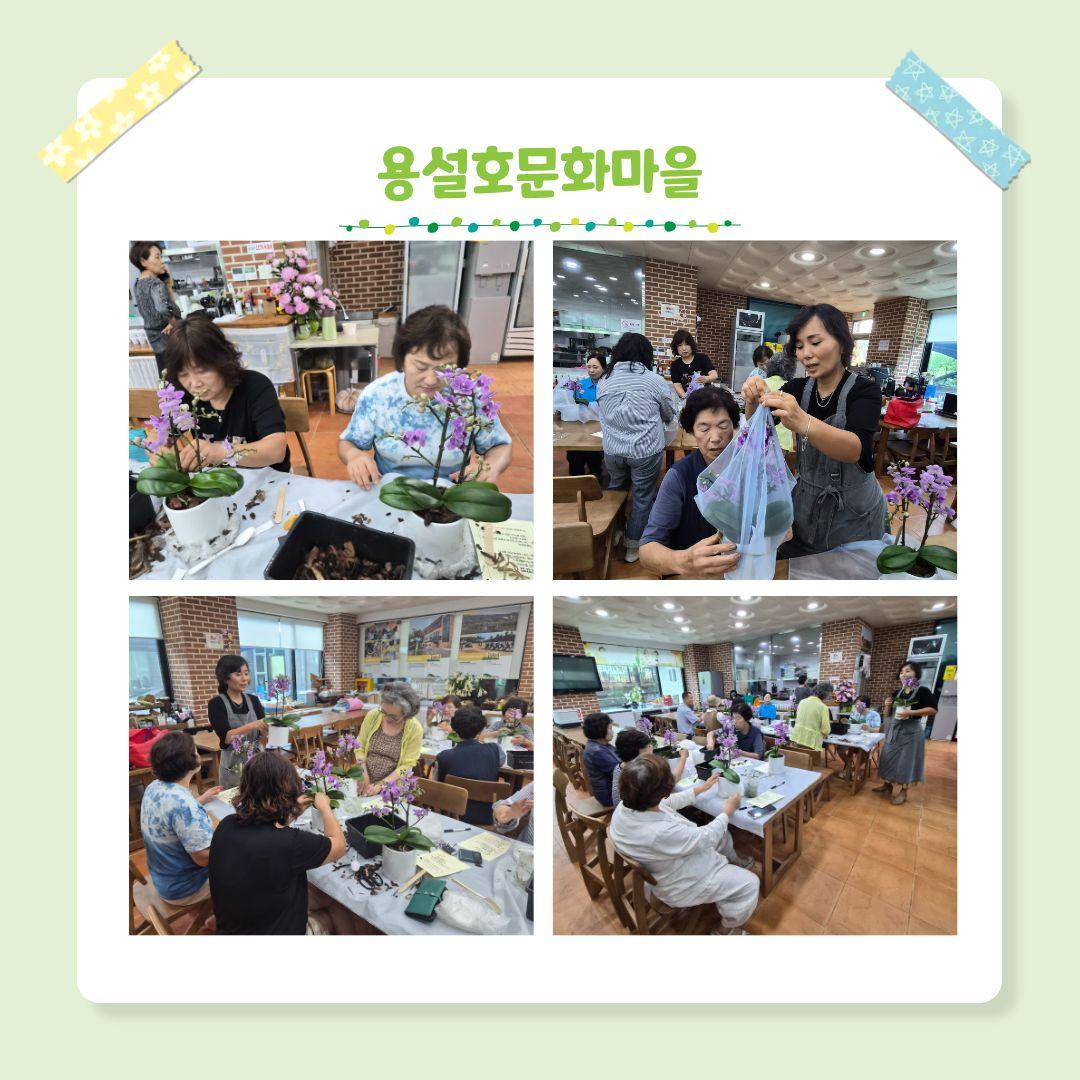 시군역량강화 마을공동체 활성화 프로그램 생활원예 4회차