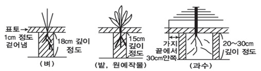 채취 깊이는 벼 약 18cm, 밭·원예작물 약 15cm입니다. 과수는 가지 끝에서 30cm 안쪽 지점의 약 20~30cm 깊이에서 채취합니다.