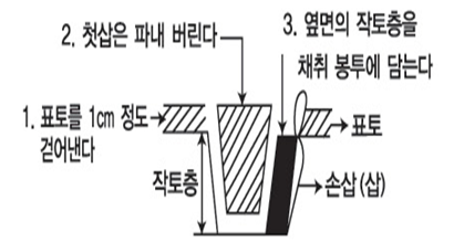 표토를 약 1cm 걷어내고 첫 삽의 흙은 버린 뒤, 옆면의 작토층을 채취 봉투에 담습니다.