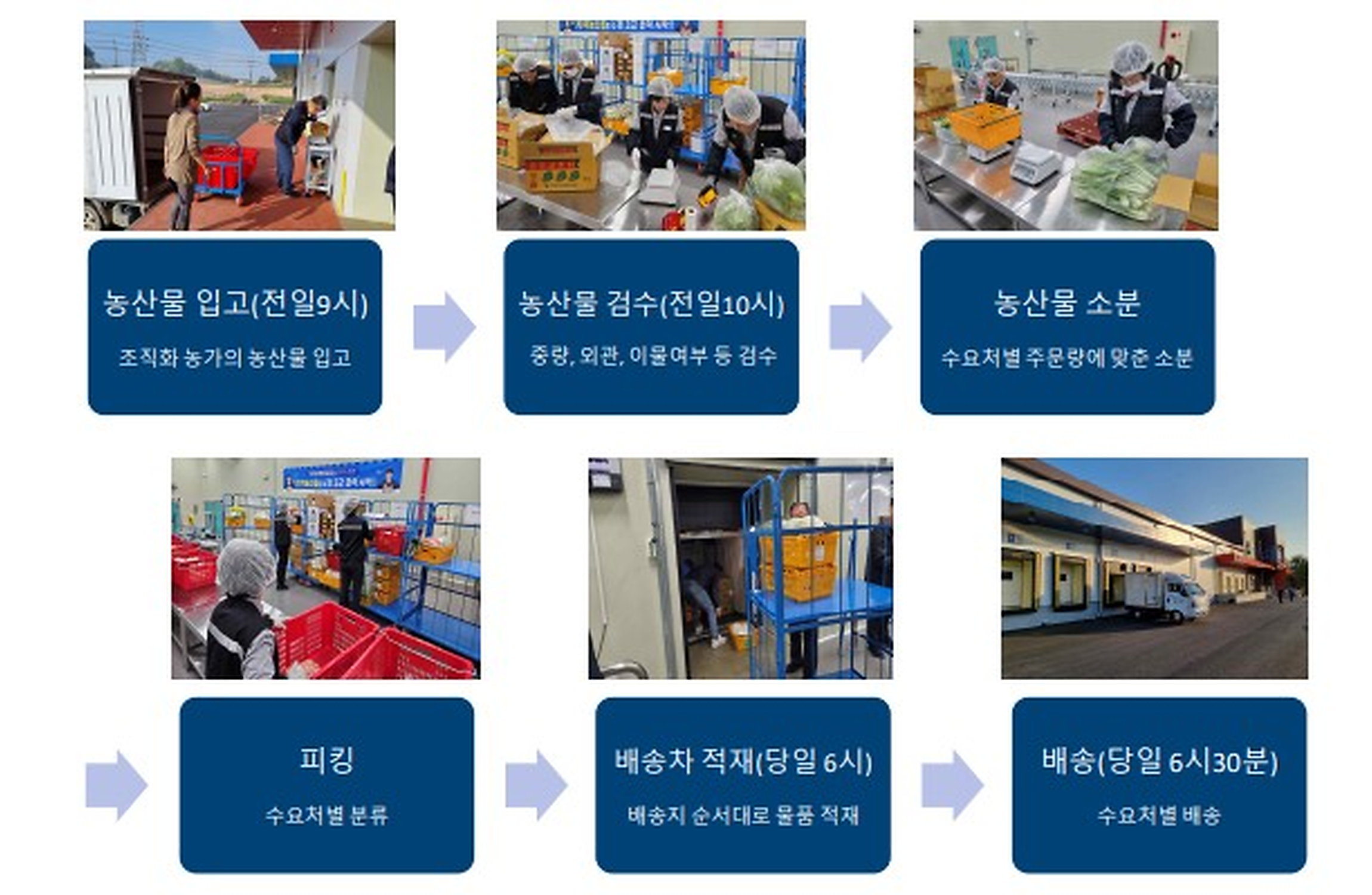농산물 입고, 농산물 검수, 농산물 소분, 피킹, 배송차 적재, 배송 순으로 이루어지는 공급프로세스를 안내하고 있습니다.