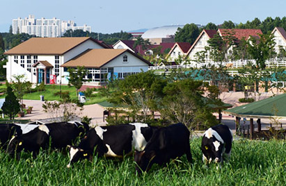 Anseong Farm Land 1