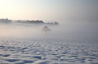 Anseong Farm Land 5