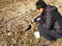 모기유충구제 현황