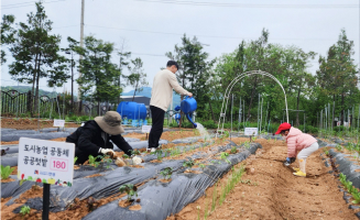 공공텃밭분양권(안성맞춤랜드,공도) 이미지