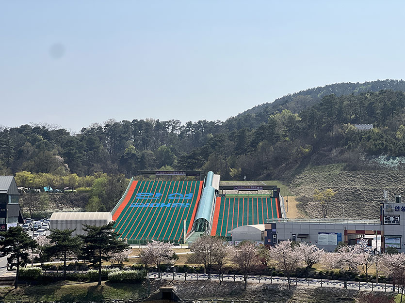 Four-Season Sledding Slope