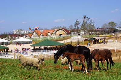 Anseong Farmland